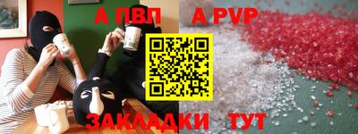 амф Кингисепп