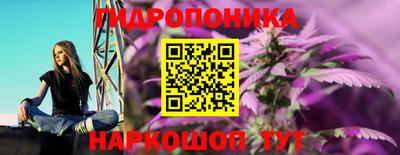кокс Кимры