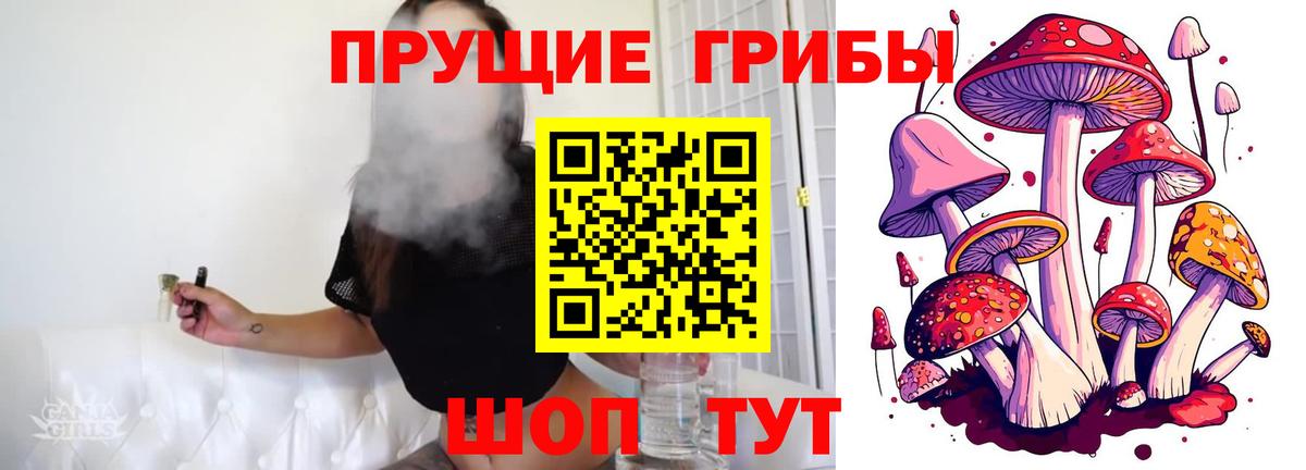 Псилоцибиновые грибы Cubensis  Вход с VPN  Лабытнанги 