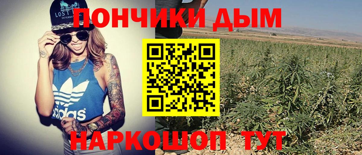 Конопля тримм  Бошки Шишки сатива  Бошки Шишки Bruce Banner  Вход с VPN  Лабытнанги 